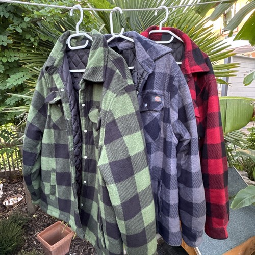 3xDickies